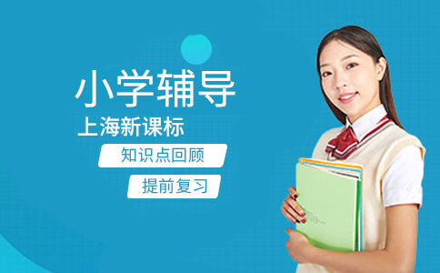 上海新课标教育和精锐教育哪个好